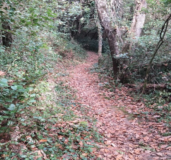 Autour du Jonquier de Chusclan - Chusclan - 1