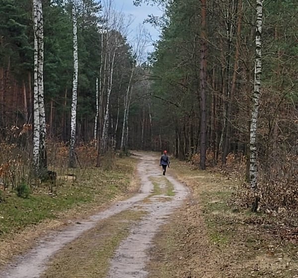 Z Lasek przez Lipków do Truskawia - Laski - 1