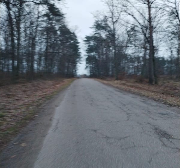Popołudniowy spacer - Iłowo-Osada - 1