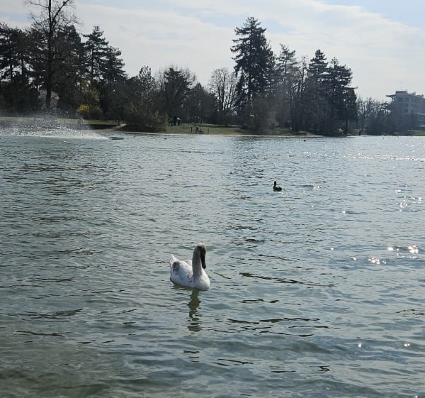 De la Seine au bois de Boulogne et le Lac Inférieur - Paris - 1