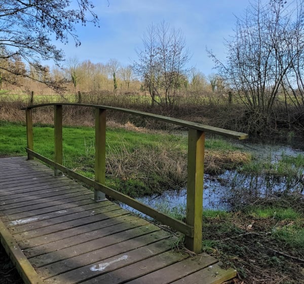 Bois de Thun et chemin de halage le long de la Scarpe - Thun-Saint-Amand - 1