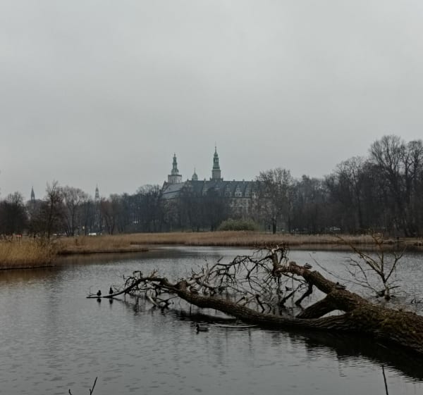 Bieg Oleśnica dwa stawy - Oleśnica - 1
