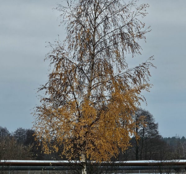 Wzdłuż ostrołęckich DDRów - Ostrołęka - 1
