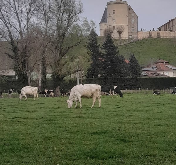 Entre Loire et maraîchage sous le château de Bouthéon - Veauche - 1