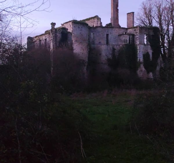 Château de Palluau - Palluau - 1