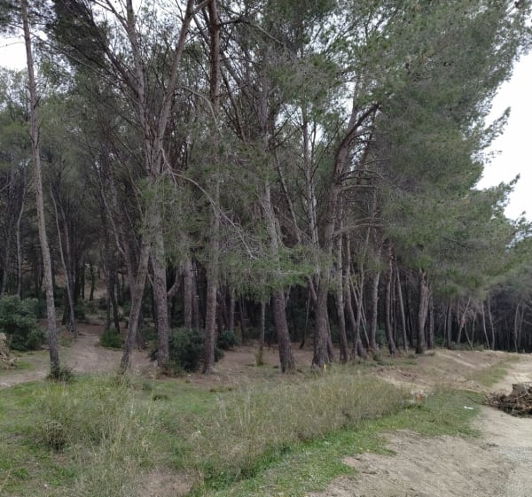 Balade au Pic Maurel - Istres - 1