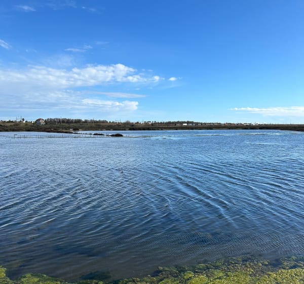 Autour de l'étang de Thau - Sète - 1