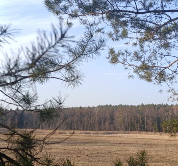 Pieszy szlak przez Cieliczankę - Pałatki - 1