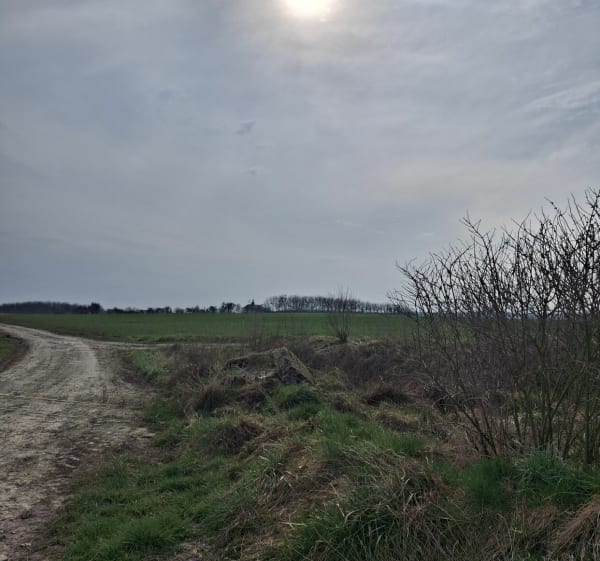 Rando autour du village de Novy-Chevrières - Thierry - 1