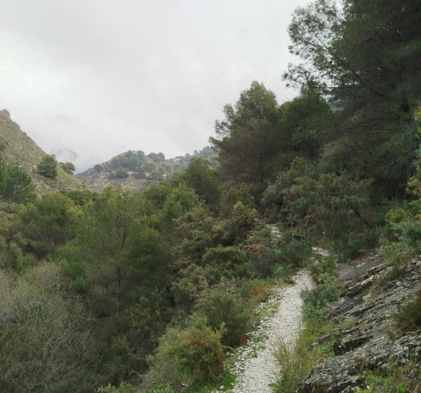 Luz à Canillas de Albaida - 1