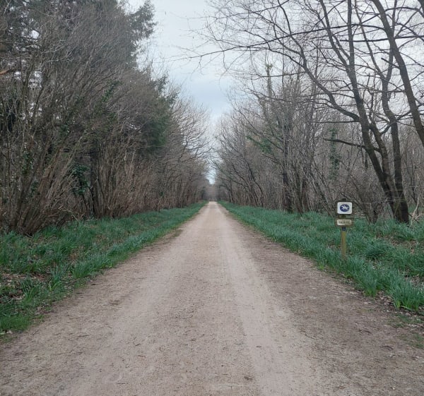 Lac de Mervent et Rond-point de St-Luc - Mervent - 1