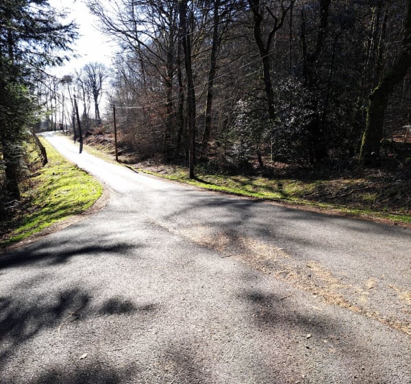Dans les bois de Chaveroche - Chaveroche - 1