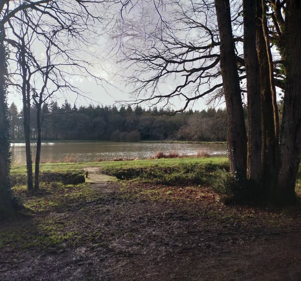 Etampes neuf forêts de Longuénéé - Erdre-en-Anjou - 1