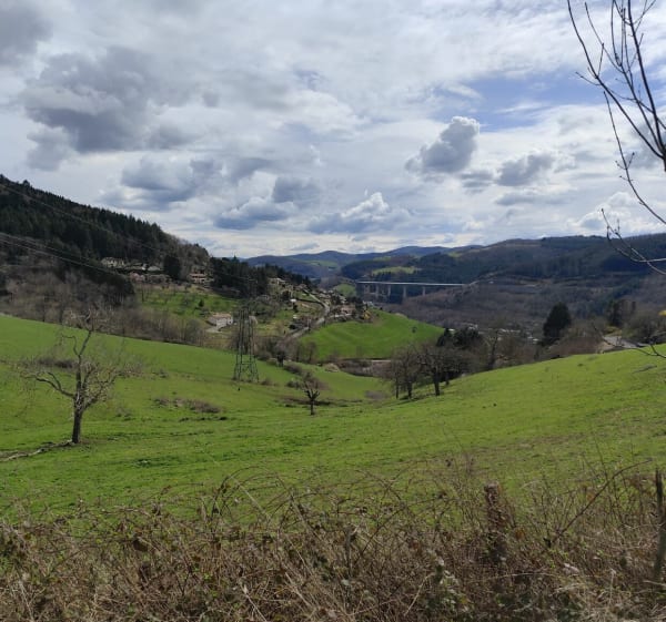 Tarare : boucle mi urbaine, mi forêt, par les Grandes Combes - Tarare - 1