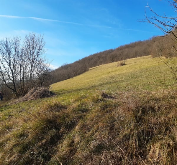 Sur les hauteurs d'Albigny-sur-Saône par le Crêt - Albigny-sur-Saône - 1