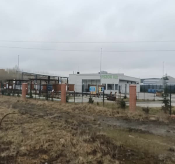 Chorzów Biegowo w stawu Kalina - Chorzów - 1
