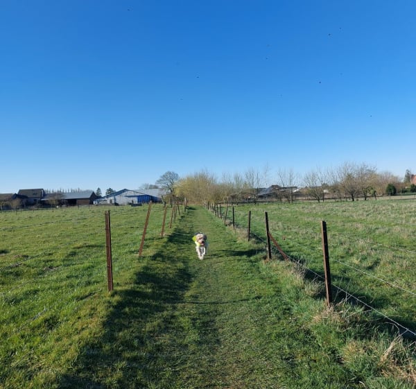 Petite promenade à Mercatel, par Beaurains - Mercatel - 1