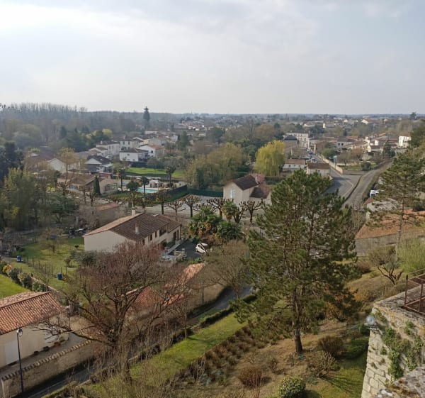 Pons atypique et bords de la Seugne - Alexandre - 1