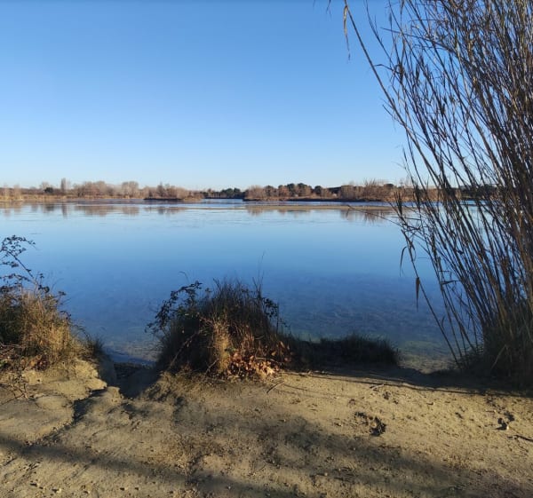 Randonnée nature à la baisse de Raillon - Saint-Martin-de-Crau - 1