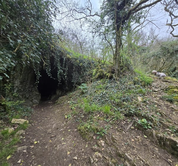 Brancion Roche d'Aujoux - Martailly-lès-Brancion - 1
