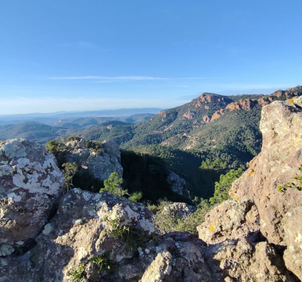 Les Suvières depuis le Trayas. - Saint-Raphaël - 1