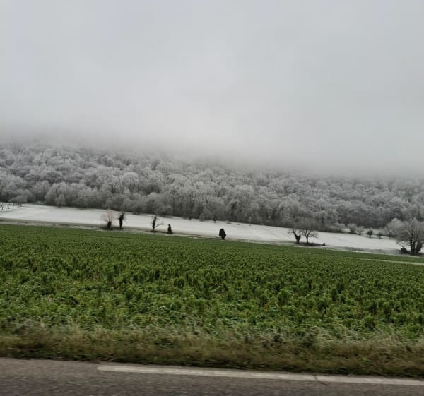 Boucle autour de Saint Hilaire-de-Brens - Michael - 1