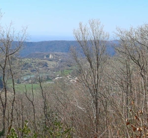 Plateau de Jargoy - Évosges - 1