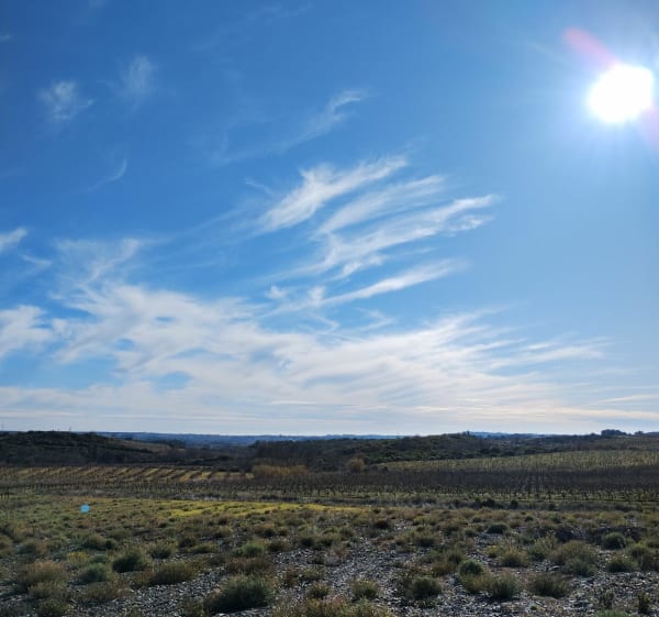 Vignerons et "Happy"culture - Laurens - 1