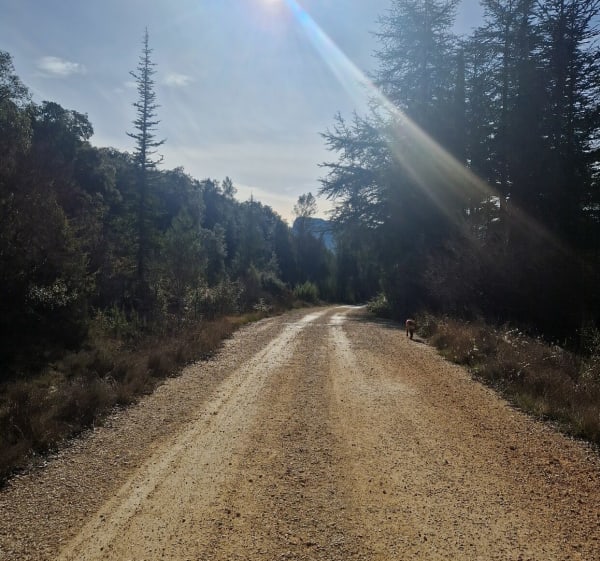 Défilé d'Argensol en vtt - Allègre-les-Fumades - 1