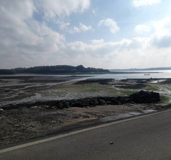Visite entre terre et mer du sud de Plougastel - Plougastel-Daoulas - 1