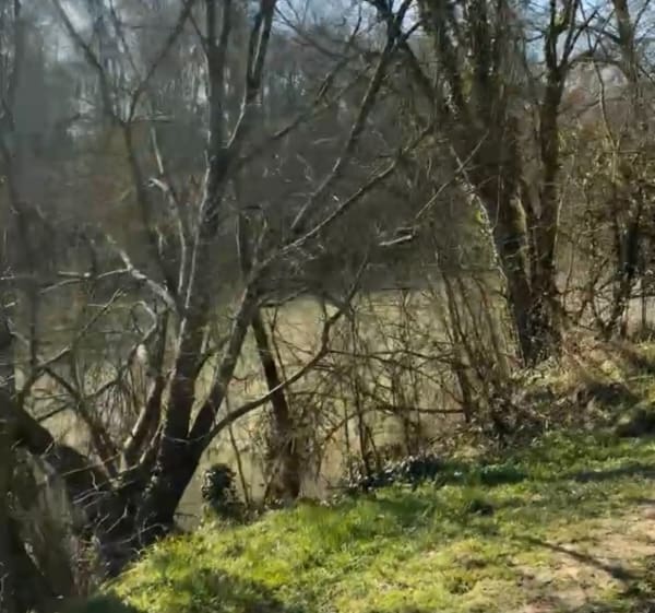 Jardin de l’île / Rivière de la Marne - La Ferté-sous-Jouarre - 1