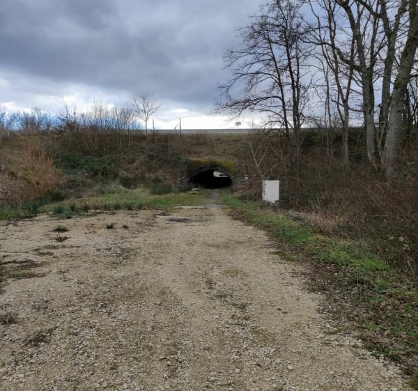 Randonnée à Monéteau - Monéteau - 1