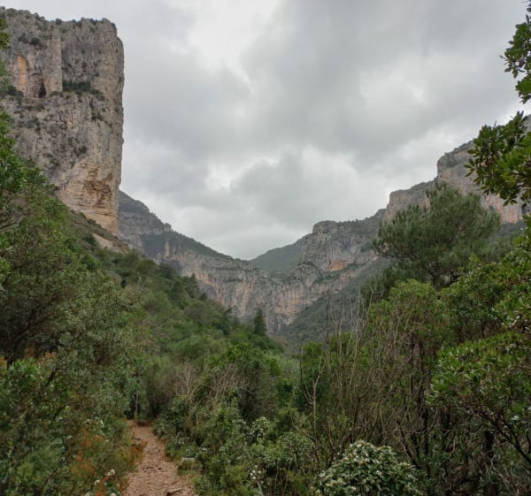 Le presque Max Nègre - Saint-Guilhem-le-Désert - 1