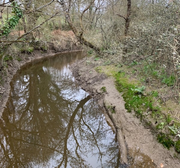 Lac et marais à Talmont-Saint-Hilaire depuis les Gâtines - Talmont-Saint-Hilaire - 1