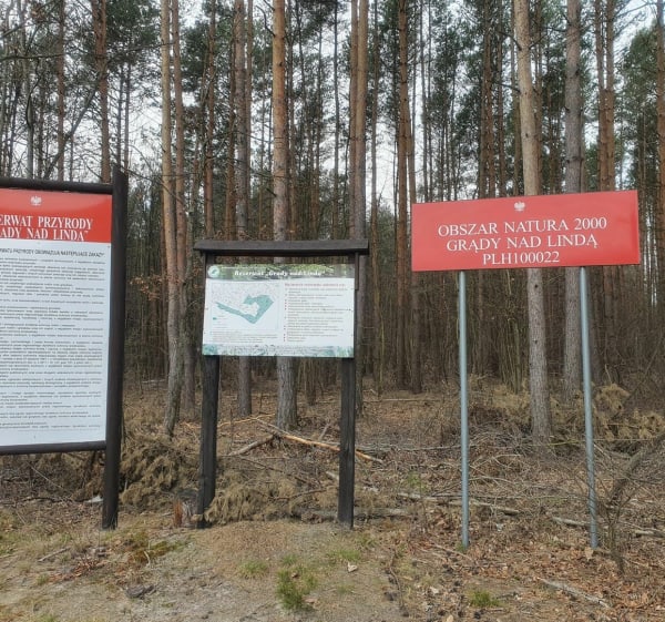 Wokół rezerwatu Grądy nad Lindą" - Lućmierz-Las - 1