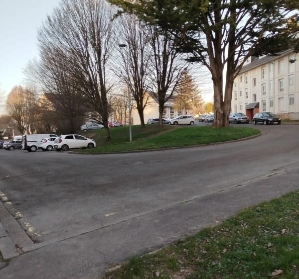 Balade chiens Centre Merisier en passant par la tiquerie - Saint-Lô - 1