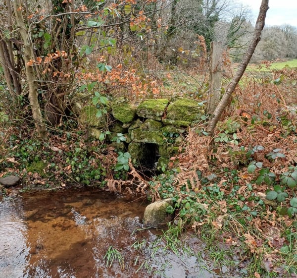 Balade à St-Symphorien-sur-Couze - Saint-Pardoux-le-Lac - 1