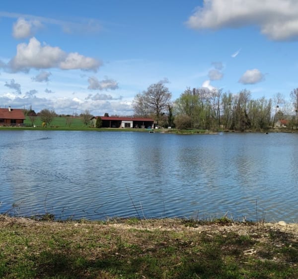 Boucle du Moulin de l'Étang de Chavenne - La Chapelle-Saint-Sauveur - 1