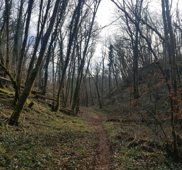 Balade dans les combes proximité de Darois - Plombières-lès-Dijon - 1