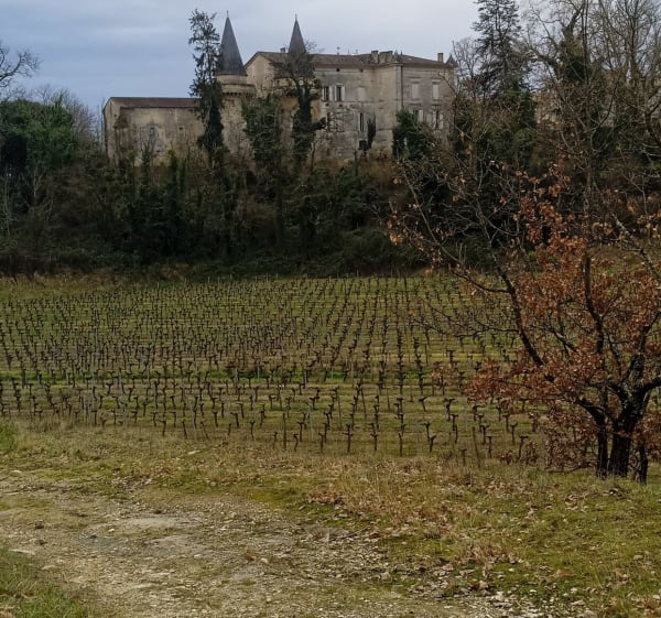 Puis Seguin et son château de Monbadon - Puisseguin - 1