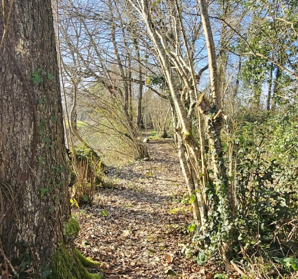 Promenade le long de l' Adour - Grenade-sur-l'Adour - 1