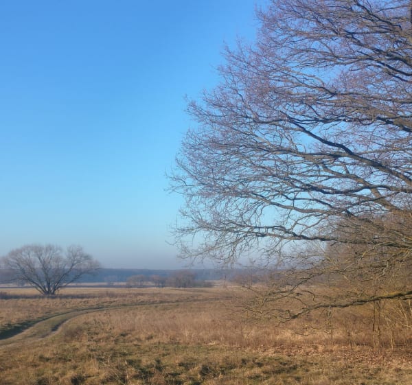 KPN Zaborów i Wielki - Zaborów - 1