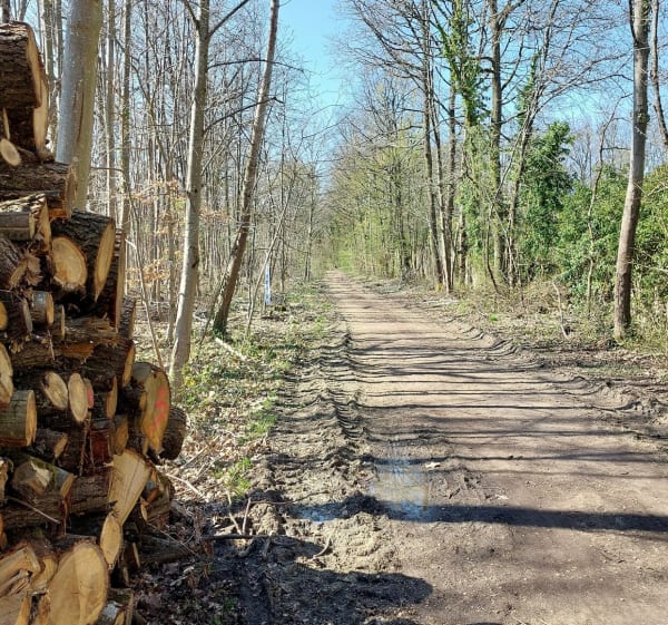La Minière, autour de l'étang de la Geneste - Guyancourt - 1