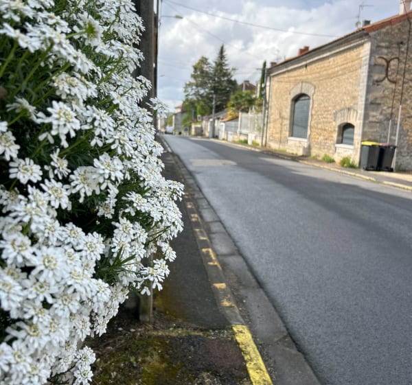 Balade tranquille à Magnac-sur-Touvre et agréable par Veuze - Magnac-sur-Touvre - 1