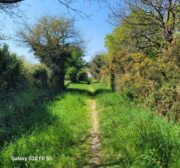 Promenade en campagne à pont du Sac'h - Erdeven - 1