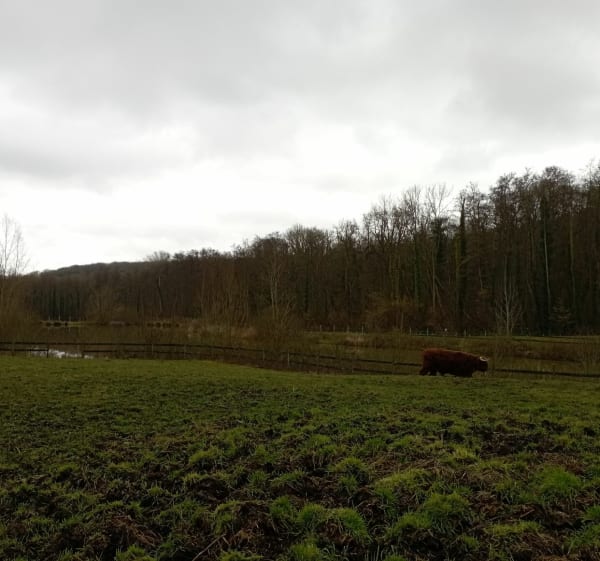Petite balade à Luzarches - Luzarches - 1