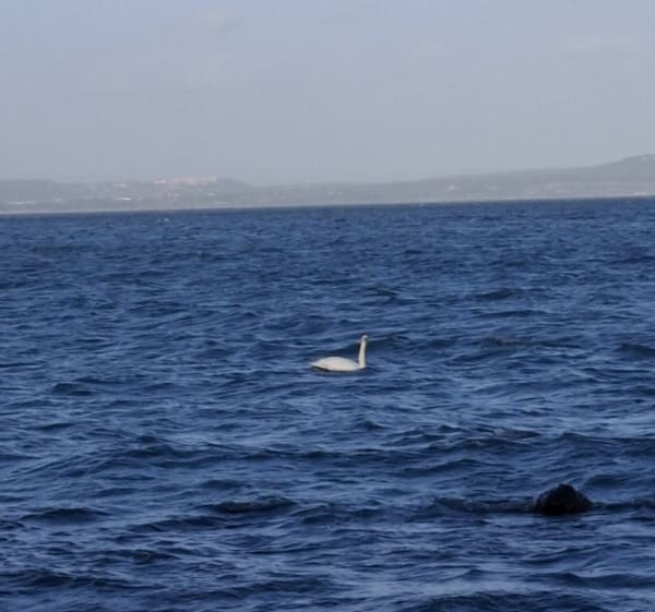 La boucle du Deven - Istres - 1