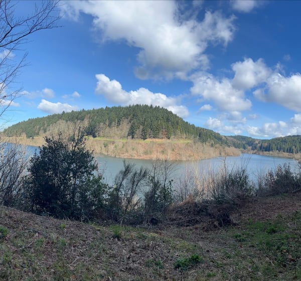 Le lac des Cammazes - Les Cammazes - 1