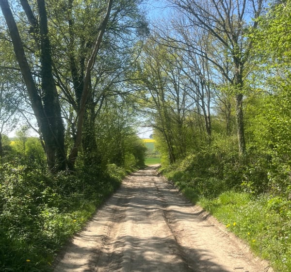 Entre bois et champs autour de Moussy-le-Neuf - Moussy-le-Neuf - 1