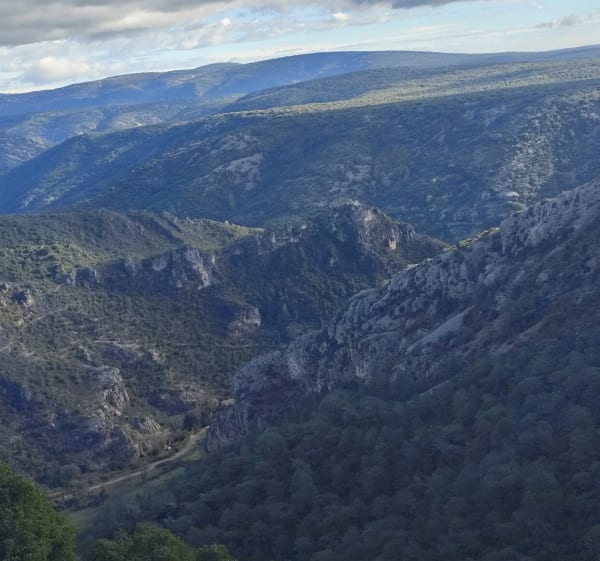 Saint-Guilhem-le-Désert, Max Nègre, forestière des Plos - Saint-Guilhem-le-Désert - 1